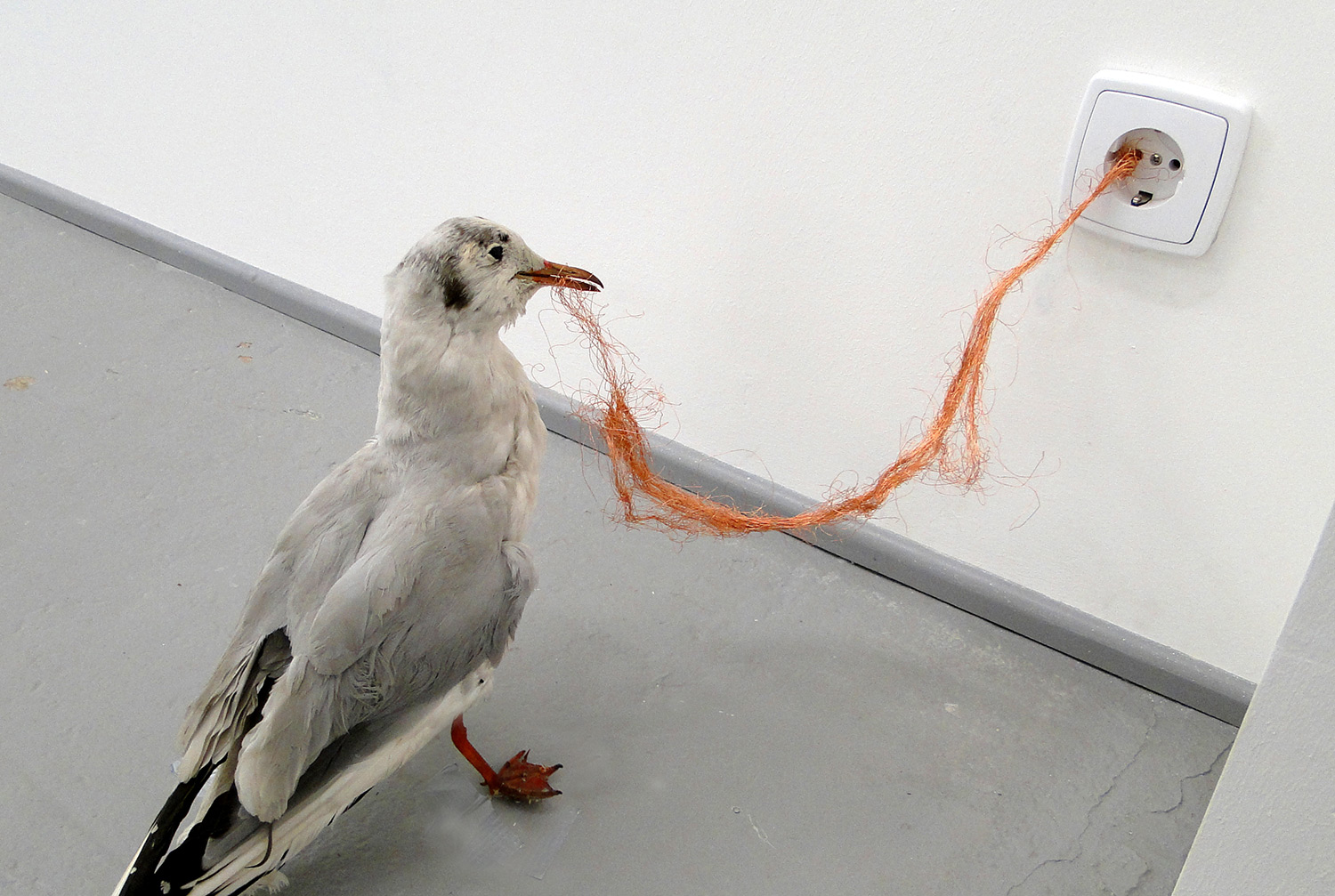 Electicity II, 2010 (sea gull, bulb, electricity)